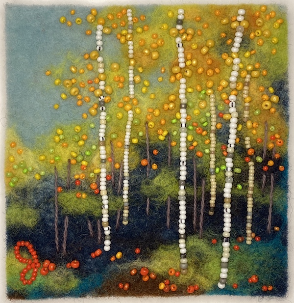 Birch Woods Autumn